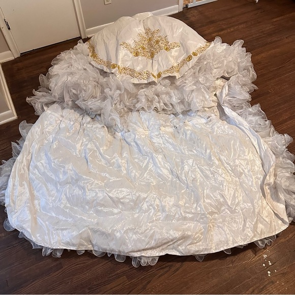 Quinceañera Adán Terriquez Additional Pictures Dress & Train Detail - Picture 6 of 17